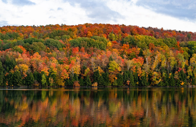 Five Best Fall Views