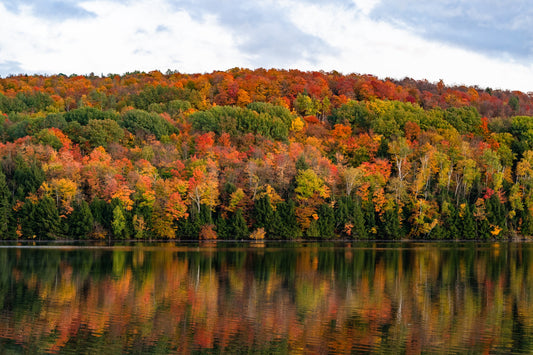 Five Best Fall Views