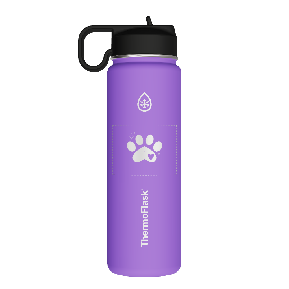 Bottle With Chug Lid and Straw Lid - customized