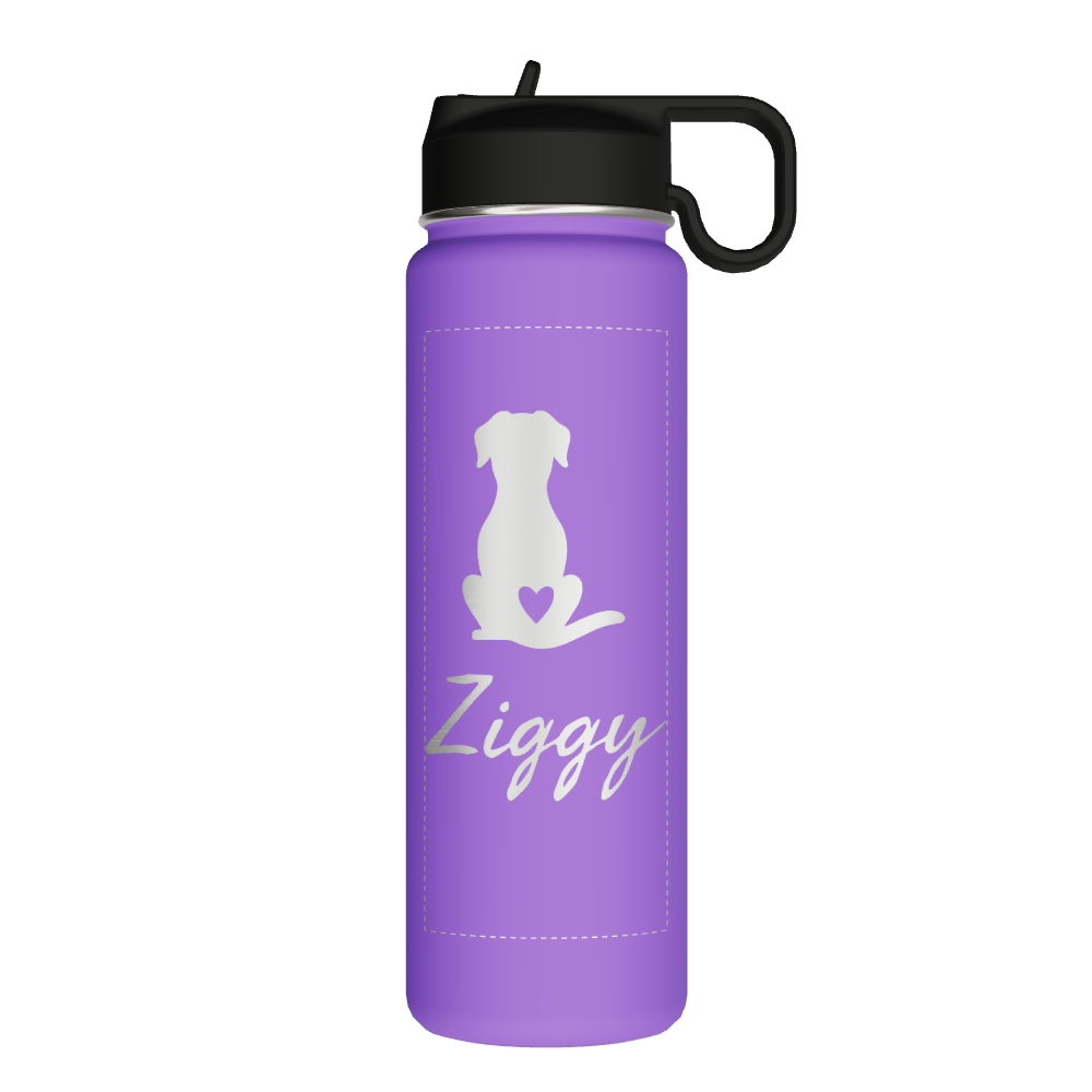 Bottle With Chug Lid and Straw Lid - customized