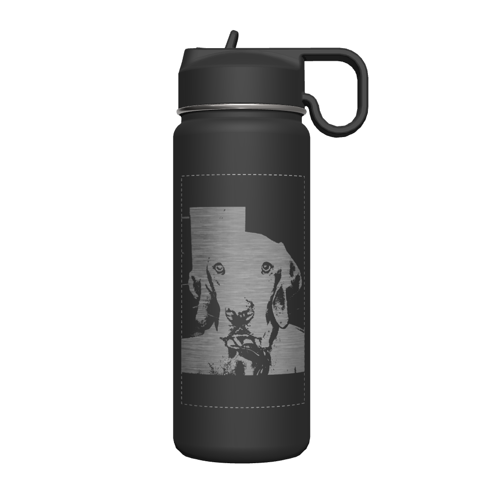 Bottle w/ Chug Lid and Straw Lid - customized