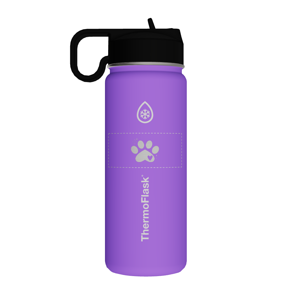 Bottle With Chug Lid and Straw Lid - customized