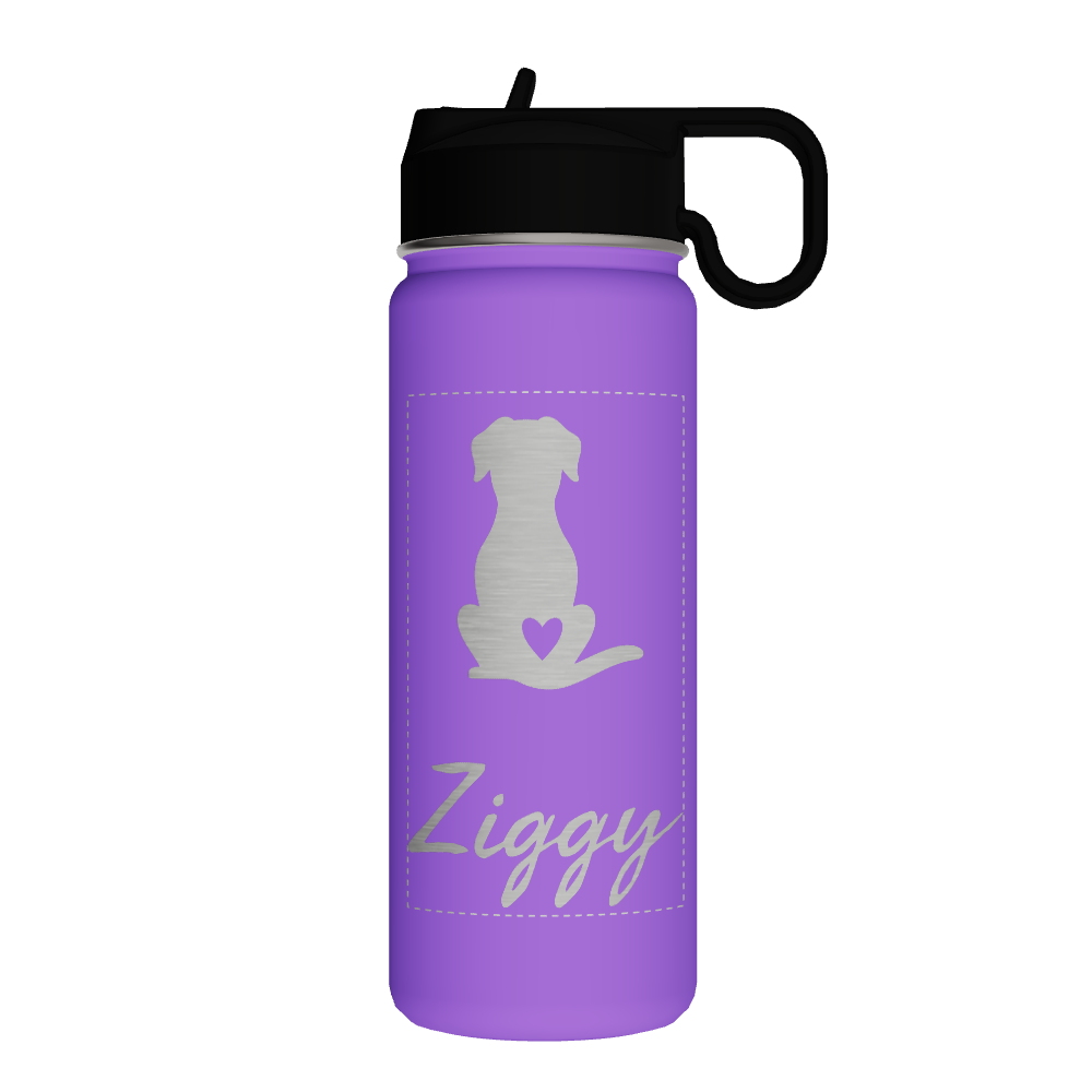 Bottle With Chug Lid and Straw Lid - customized