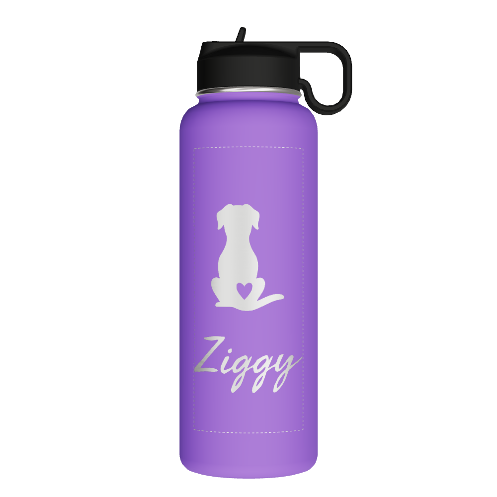 Bottle With Chug Lid and Straw Lid - customized