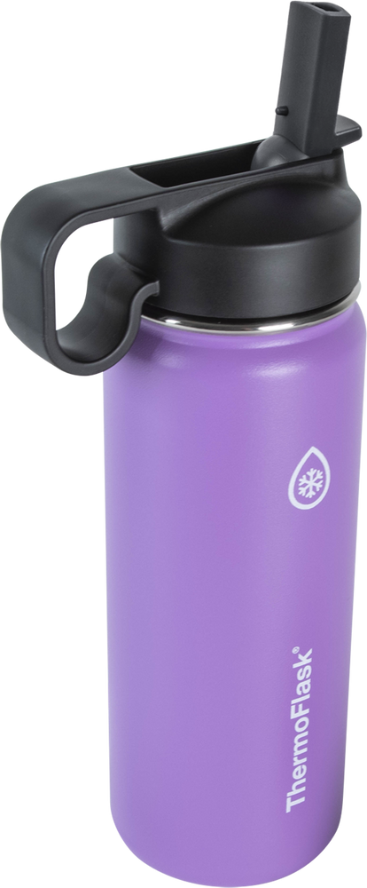 https://mythermoflask.com/cdn/shop/products/50059-Thermoflask-Combo-18-Plum-angle-crop_1000x1000.png?v=1666304698